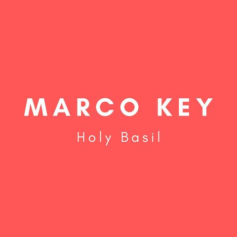 Holy Basil