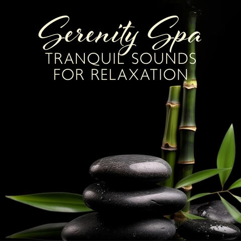 Serenity Spa: Tranquil Sounds for Relaxation