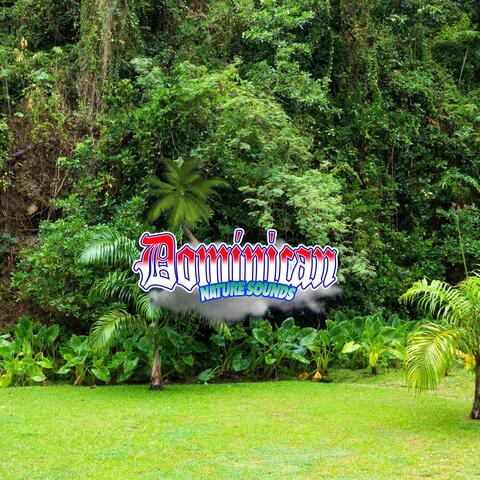 Amazon Rainforest Relaxation: Healing Music Therapy - Exceptional Nature Sounds for Meditation, Reiki, Spa and Sleep