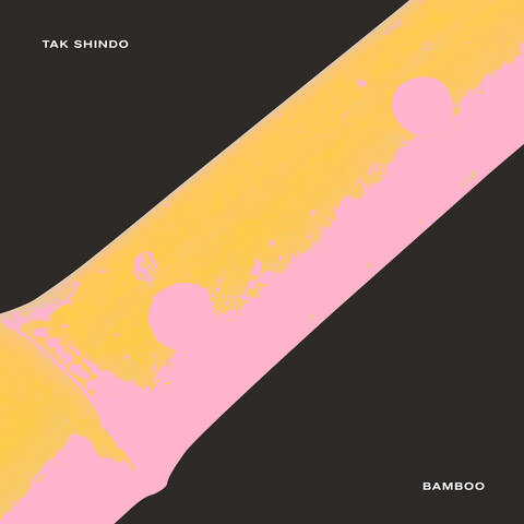 Bamboo