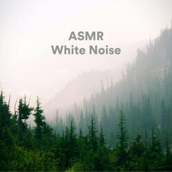 White Noise ASMR Loopable