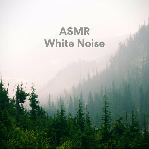 ASMR White Noise