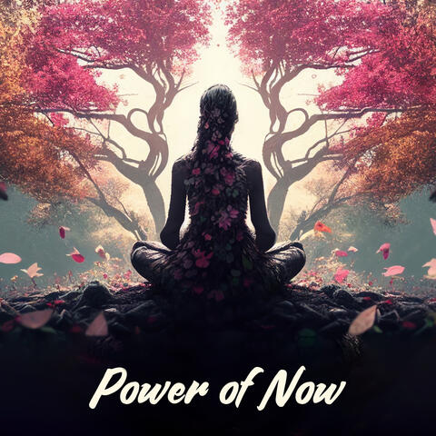 Power of Now: Zen Meditative Music & Rain Sounds, Enter the Present Moment, Calm Your Mind, Mindful Relaxation