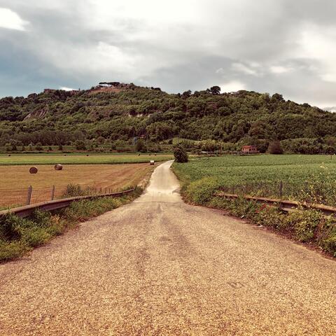 Velocity Carrotjacket