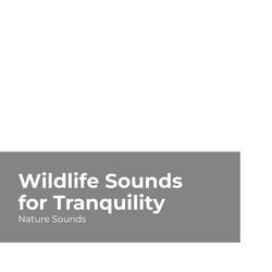 Harmonious Wildlife