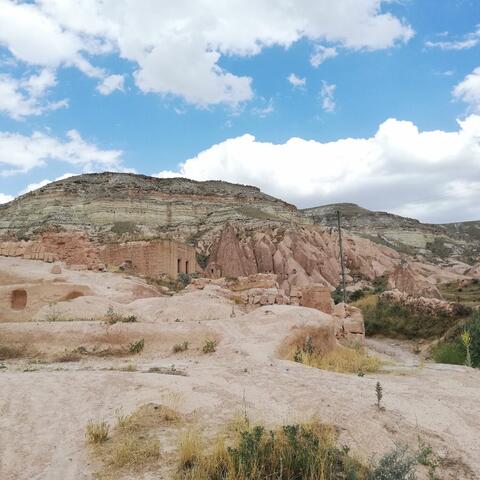 The Incredible Creature