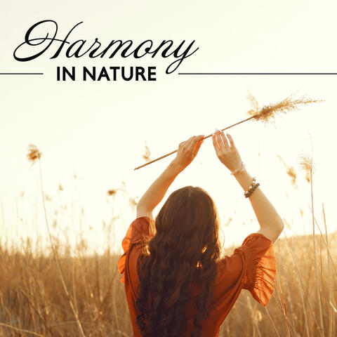 Harmony In Nature: Music & Forest Sounds | Relaxation, Meditation, Inner Peace, Calm In The World