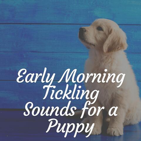 Early Morning Tickling Sounds for a Puppy