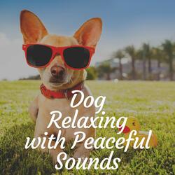 Dog Relaxing with Peaceful Sounds, Pt. 5