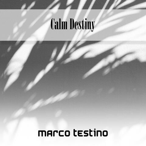 Calm Destiny