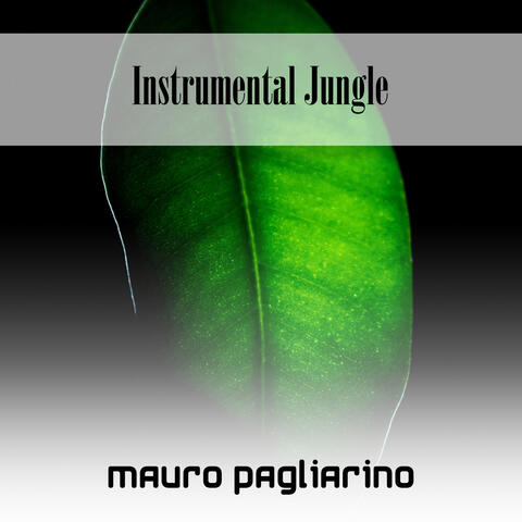 Instrumental Cash