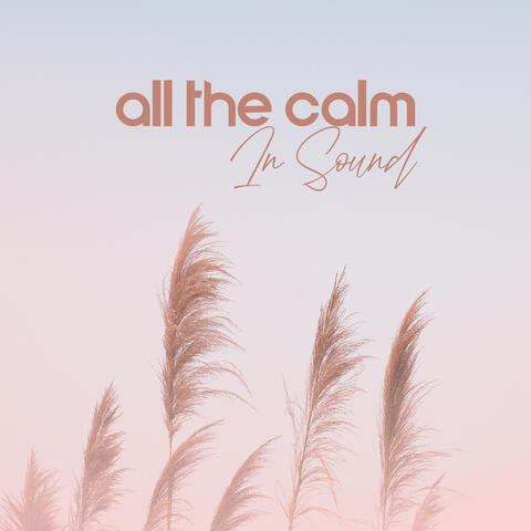 All The Calm In Sound