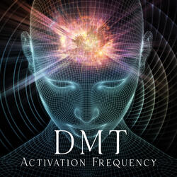 Deep Visualization