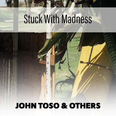 Stuck With Madness