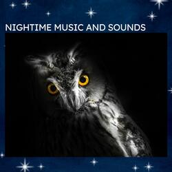 Let It Snow (Night Sound)