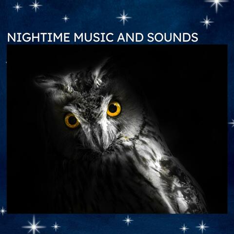 Nightime Music and Sounds