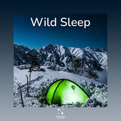Simpy sleep