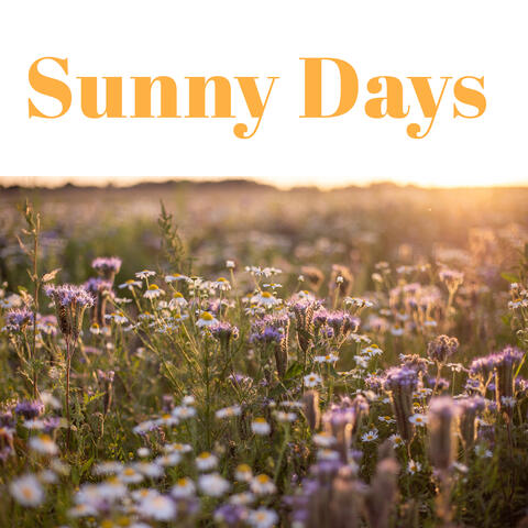 Sunny Days – Early Morning Meditation, Boost To Happiness And Positivity