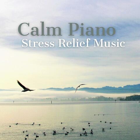 Calm Piano Stress Relief Music