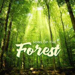 Green Forest Life