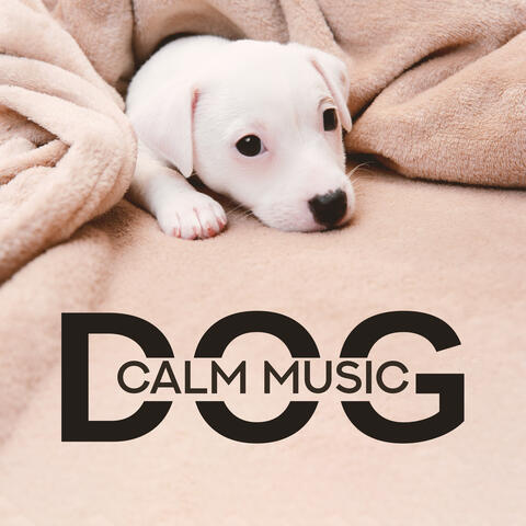 Dog Calm Music