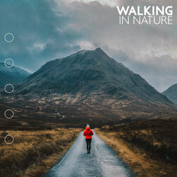 Hiking Horizons