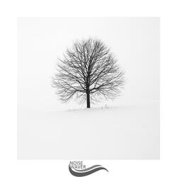 Tranquil Dreams