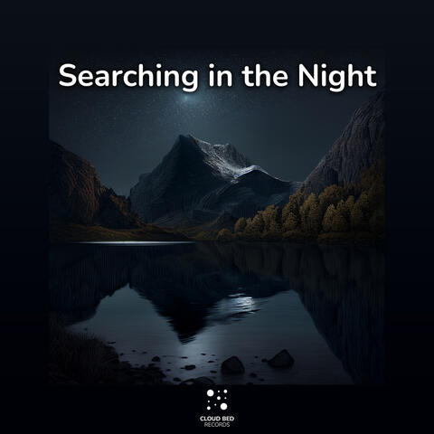 Searching in the Night