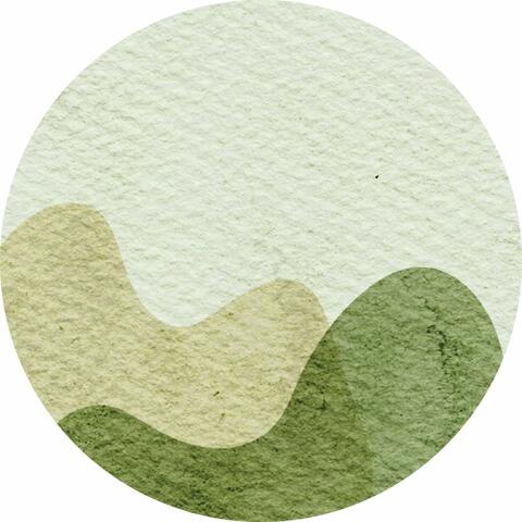 Oregano Tulipdance