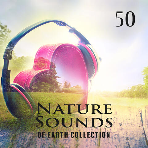 50 Nature Sounds of Earth Collection: Ambient Nature for Self Healing