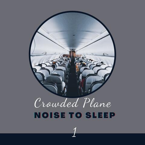 Crowded Plane Noise to Sleep 1