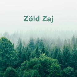 Eső és Zöld Zaj