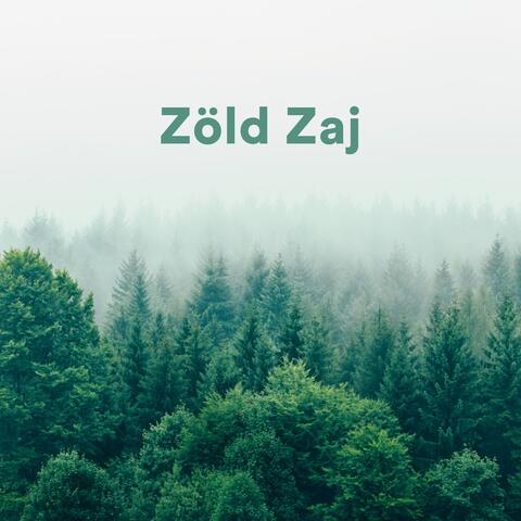Zöld Zaj