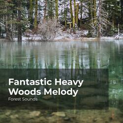 Forest Sound Effect
