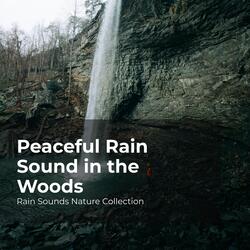 Birds Singing in the Rain