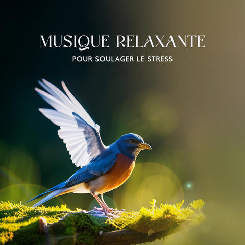 Musique relaxante pour soulager le stress, chants d'oiseaux de la forêt, sons de la nature - Musique de guérison profonde pour le corps