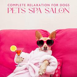 Spa for Pets