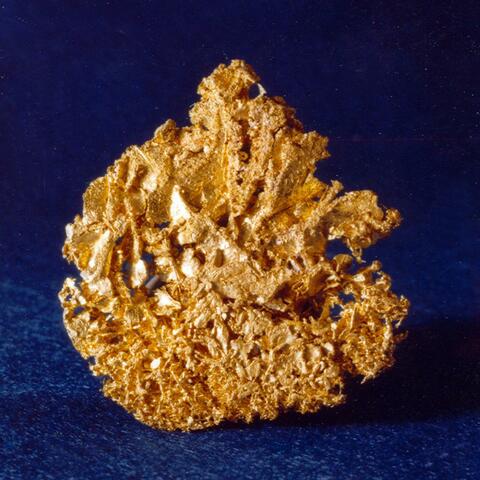 Summerswind Fortress