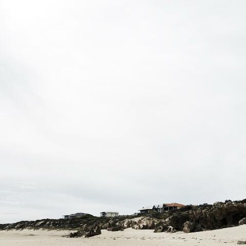 The Fabulous Pit Bulls