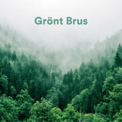 Grönt Brus