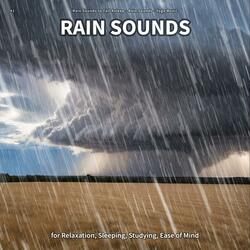 Sleep Sounds