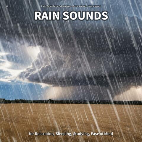#1 Rain Sounds for Relaxation, Sleeping, Studying, Ease of Mind