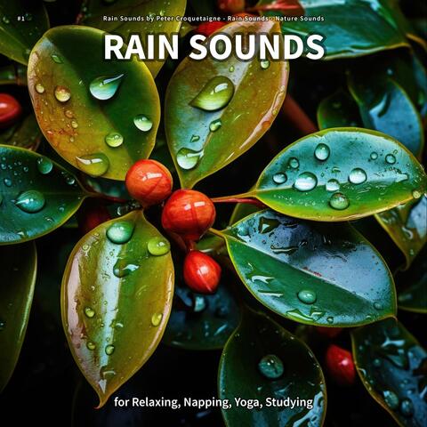 #1 Rain Sounds for Relaxing, Napping, Yoga, Studying