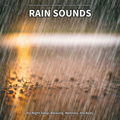 #1 Rain Sounds for Night Sleep, Relaxing, Wellness, the Body
