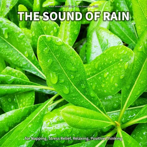 #1 The Sound of Rain for Napping, Stress Relief, Relaxing, Positive Thinking