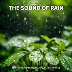 Rain Noise for a Romantic Atmosphere