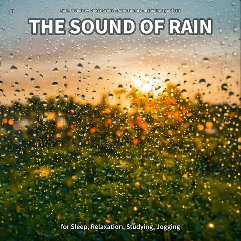 #1 The Sound of Rain for Sleep, Relaxation, Studying, Jogging