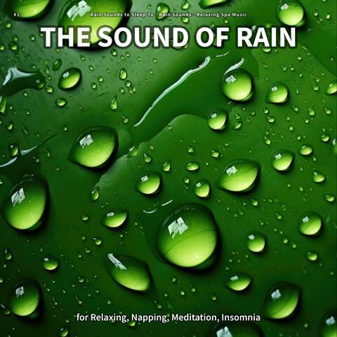 #1 The Sound of Rain for Relaxing, Napping, Meditation, Insomnia