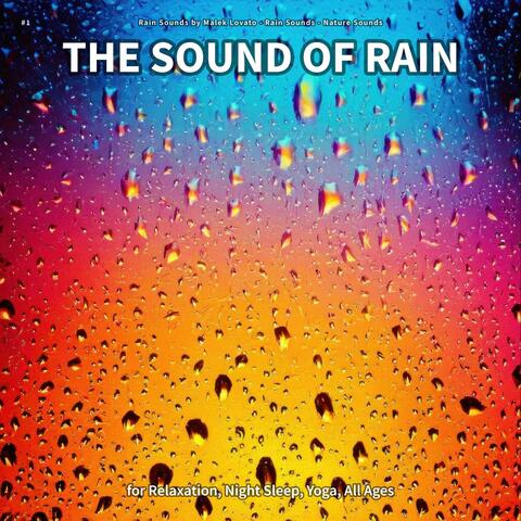 #1 The Sound of Rain for Relaxation, Night Sleep, Yoga, All Ages
