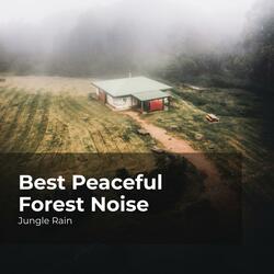 Wind in the Magical Forest